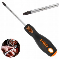WKRĘTAK TORX T20X100MM SVCM NEO 04-045