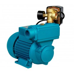 IBO HYDROFOR WZI 750 Z OSPRZĘTEM ZBIORNIK 100L +WĄŻ 60cm ZESTAW HYDROFOROWY