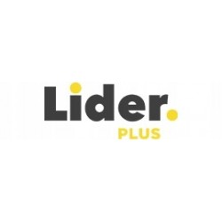 LIDER PLUS TMW52 WIERTNICA GLEBOWA SPALINOWA 1,6KW TMW52 3x WIERTŁO + 3xO