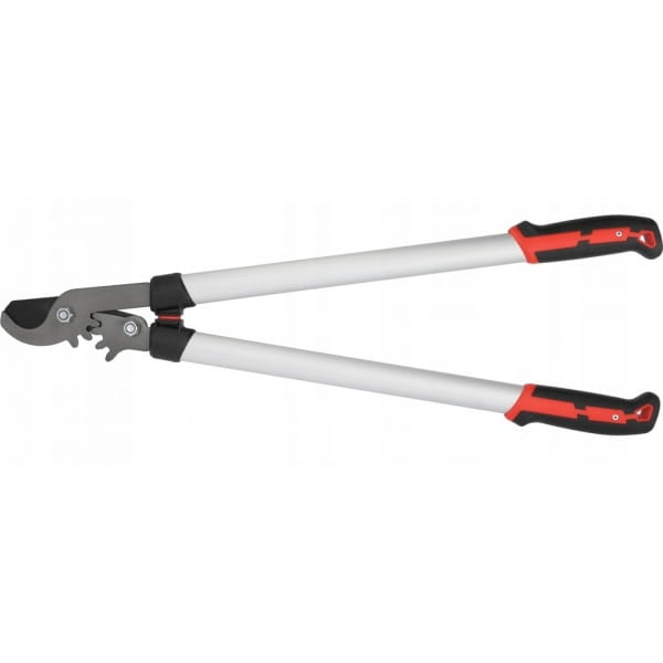 6f88c4c97eeb7326a3d2ebfbf4812495