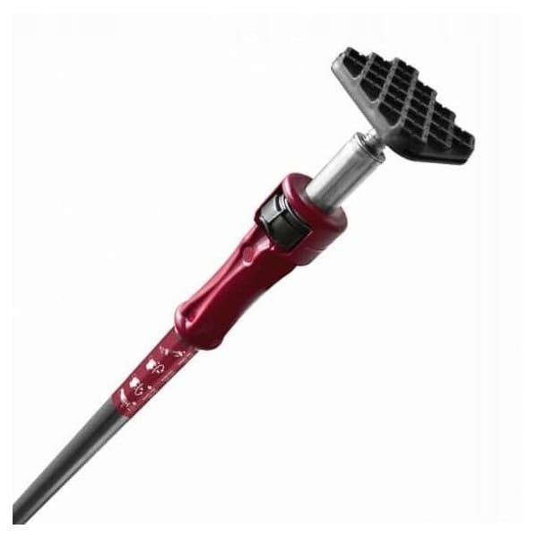 61bfbb07f84804ca9861a2d223192ab6