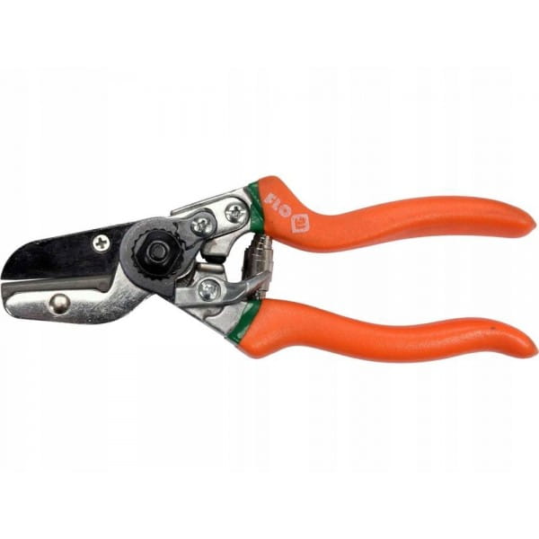 809688a8c5b8d9887fa07fe366de999d