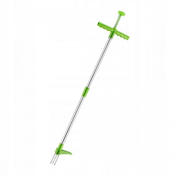 eecdd32581d6d34be4b10858b85399d8