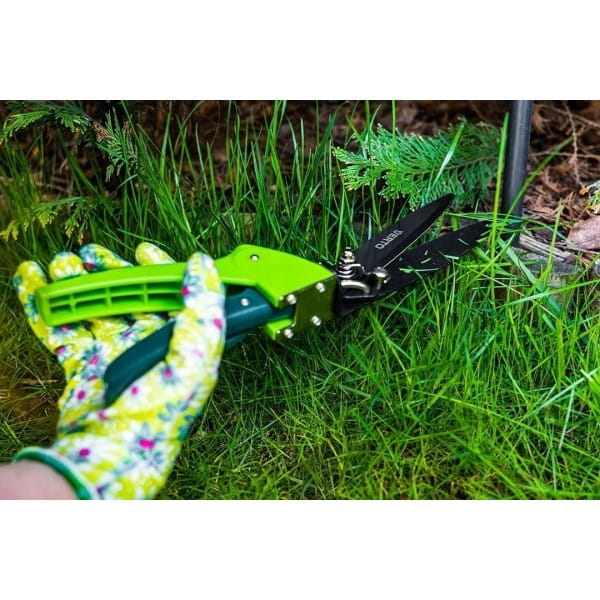 cffd397e0bc63254ecb9cf2b2d2b6336