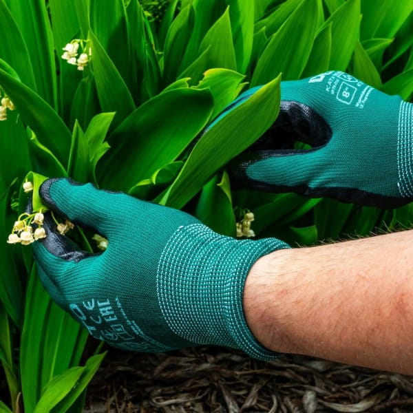 8f35bbcca84ef4acfea84f2cd6326a3e