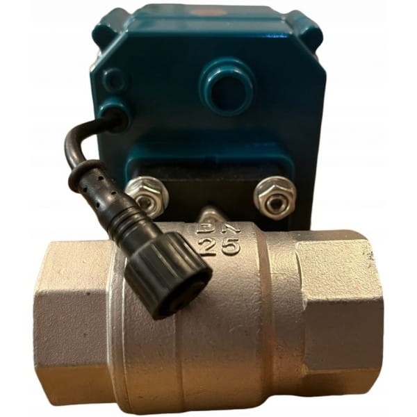ebe998d509be134c4f12304d56f3f350