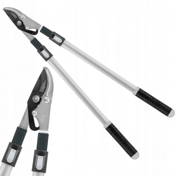 00c04e160edb228ad5a1c3347a43a703