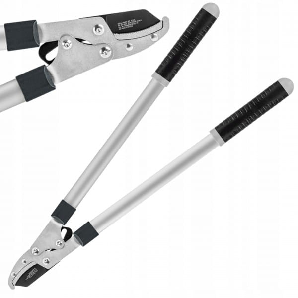 9098cdc206d3d58b63dc8b41638e6dc1