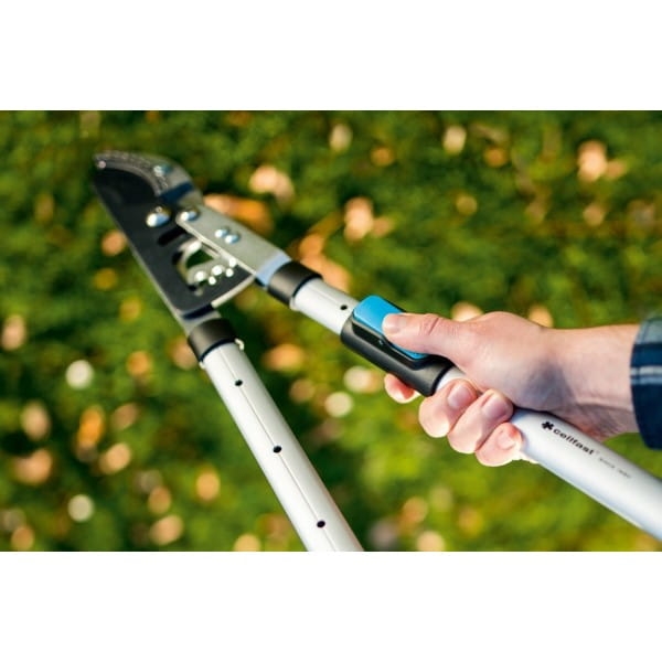 cad75b16f788a374f8ed118d92202f58