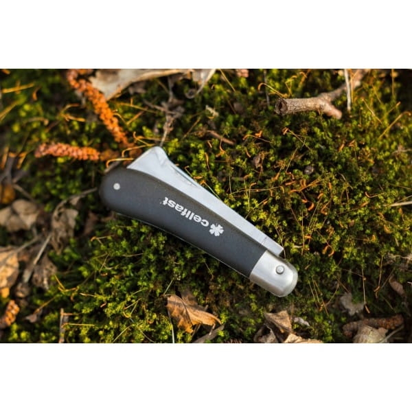 ba4e0e4bd50e48f98defbdd45007bde9