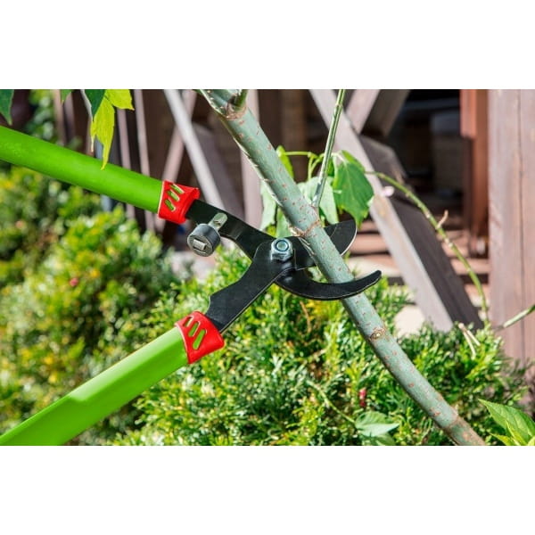 92f3b73d00f8191dc2aa62c2ec43b98b