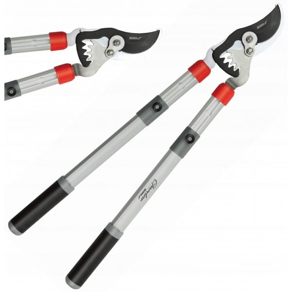 851c191c3160b907824d0fd00d2ed9d6