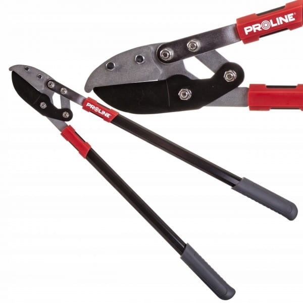 1f7aa1afea5b4303dd5ae151a4250475