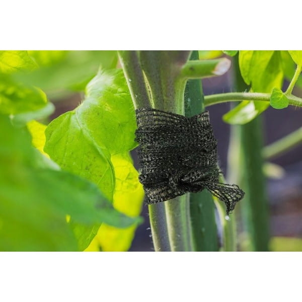 7a75763ad16dc720f1f33c5cfa465fbe