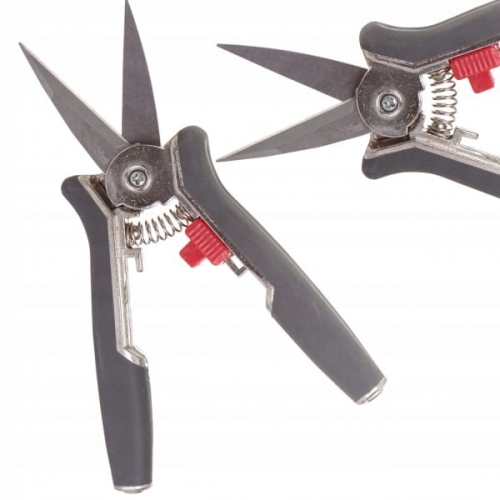 144fbcff4a1d57df227aae72760b5808