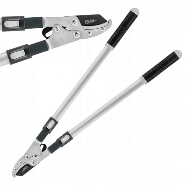 b3897402f5eb4cc979a0d0a0374d3e65