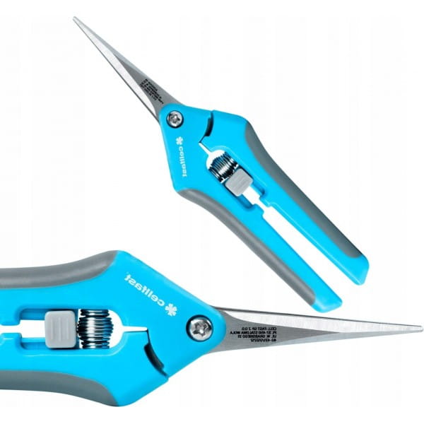 c61af74b775ff35b86697d6d7ff258af