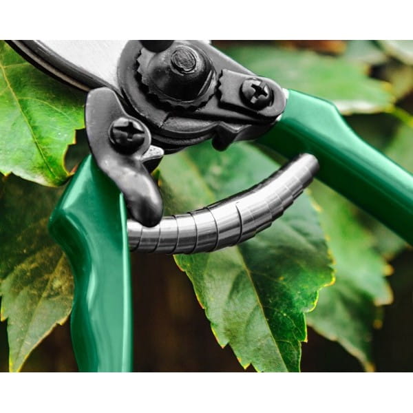 d1ecb9a5ad0eae5c011a82560e91bd1a