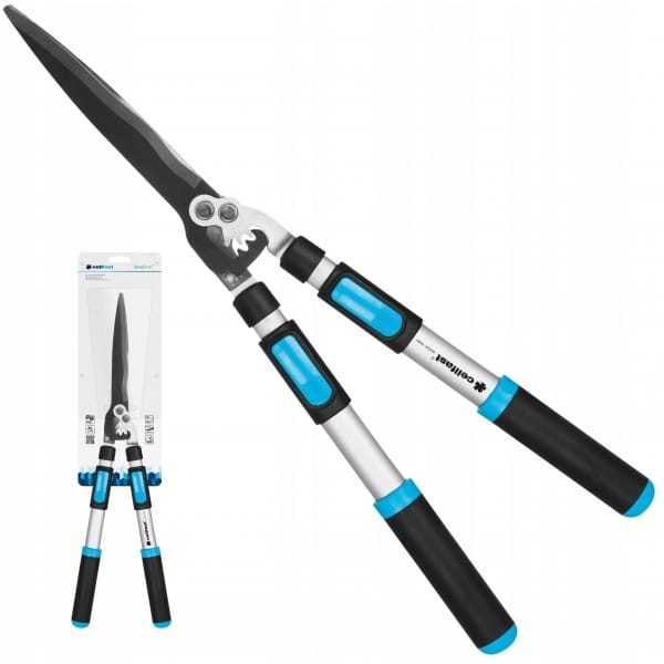 fc264a06803f7cd7f065377fc4dd5bb2