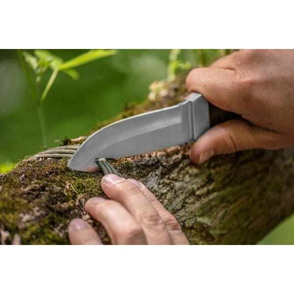 8f1d45d72fae152c9b4718421903ecf1