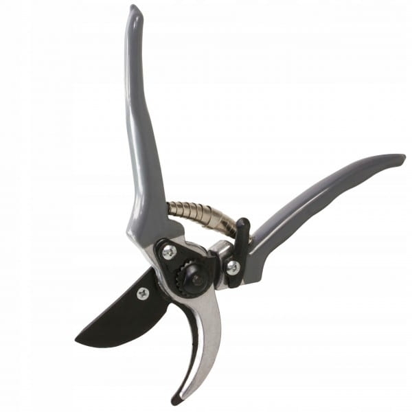 9d65287d2e81bc0b758b5a0b8bc496fd