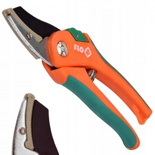 5259c145fb19ea6a9066c84bcf9bf8d8