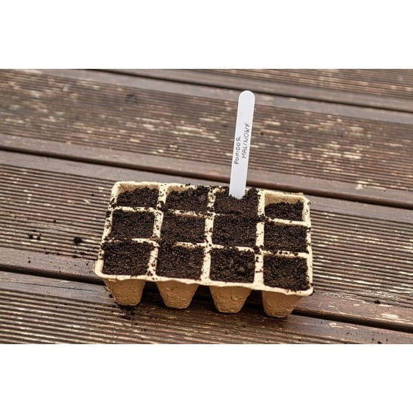 a3095da043778c86becf0b875cebffc4