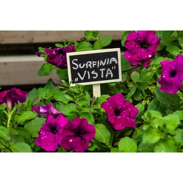 641123d75739c13918960ad1d1bfe968