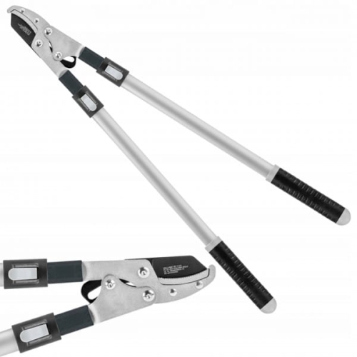 b97fe430e724e4bc87b814c5cf36b337