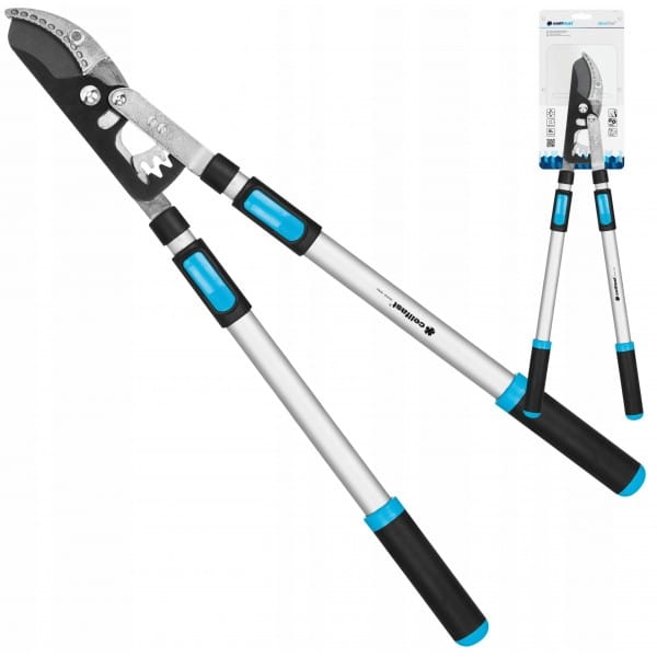 9078f9e8a17145ae9745559bd1eb84db