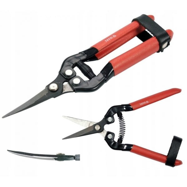 c3e54ac0e89ed11f6b2a53ebc1829e2f