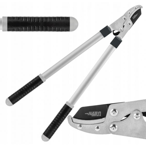 ba2a251a4150a826a6240e71f337a3da