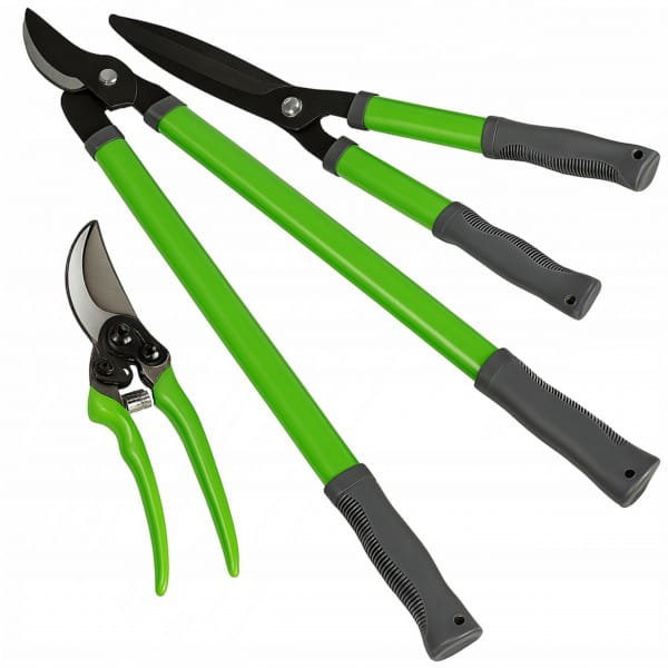 99d1dddb850052543387f6ebfc3c1d2f