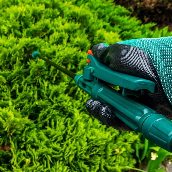 b33257e45a4a8ba5ca8f927a24960668