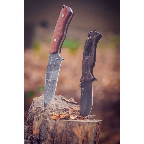 e62bb3b4fac05f656104859d32cba2ab