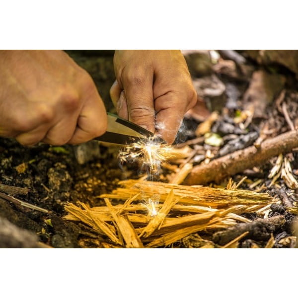 3368e714435e4e1721a93ff3b5d46193