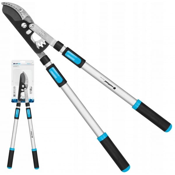 d7d2a735a9e085c4a75c09179b83fd97