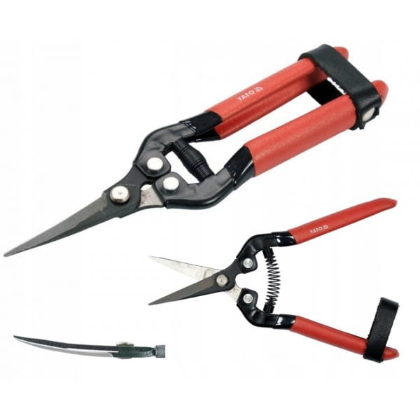 3cbe9c515922f70cb03b8faebeda2511