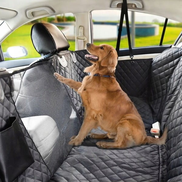 f2ea1b9b1b9439408c00e2168c1ebef6
