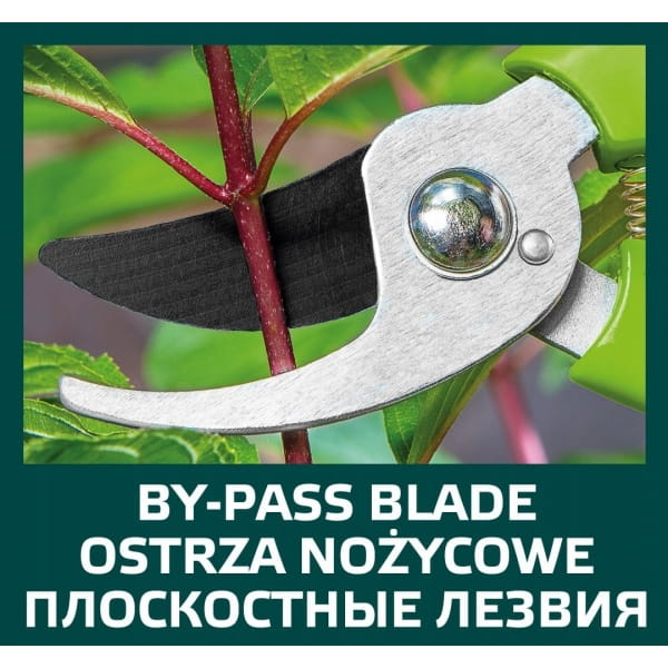 b3fb50178f733748f9fd32fe16e8226a