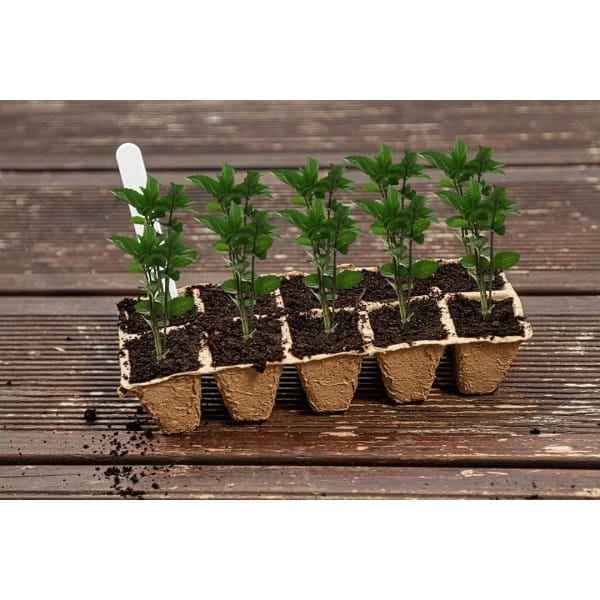 09289e7bd74e53501a054a3b110e8317