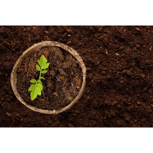 24e1d343e08da8054dad44dcb8981420