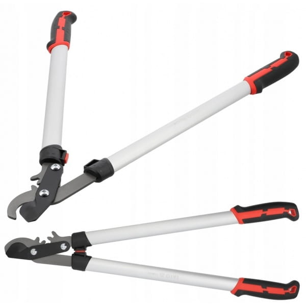 1a7cf33868291264ace05c96b7068bd3