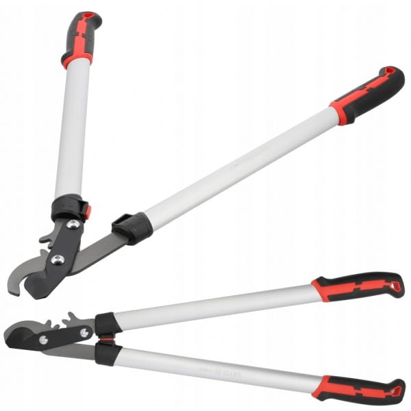 cc10bbecbaf6e09050d1f32e25c86700