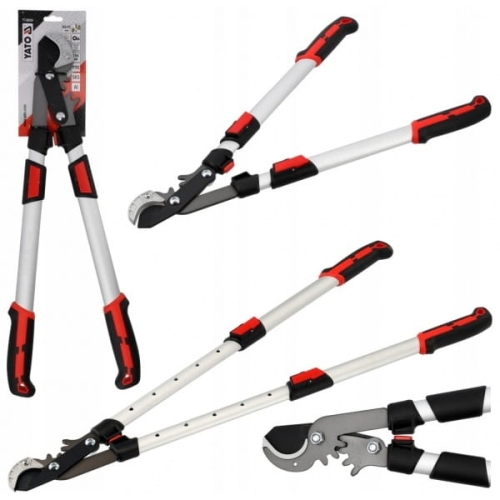 1e953647701016daedeb6419da07d572