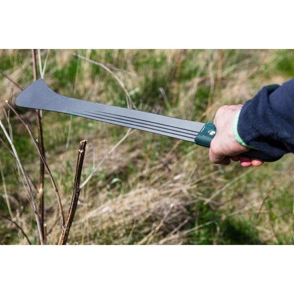 9503121b995fa7d1c19f3d5e36f8624d