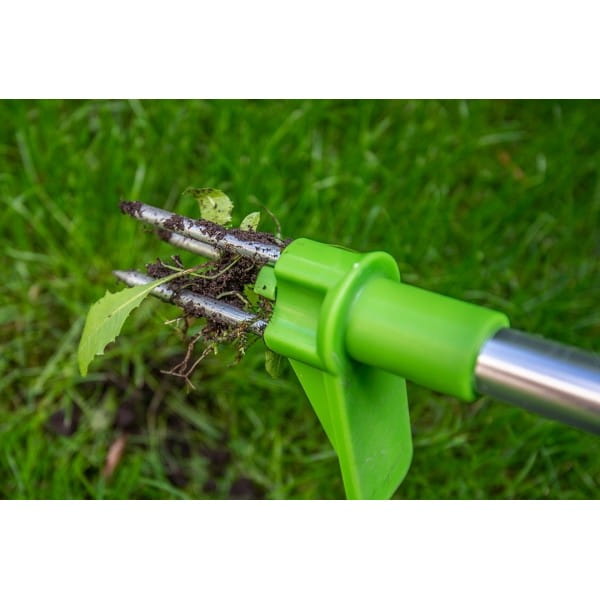 2a9932733329ebab07adac21477ea3c6