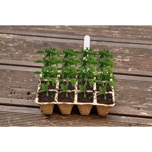 072eba3e2754cd11346926b719dd49e4