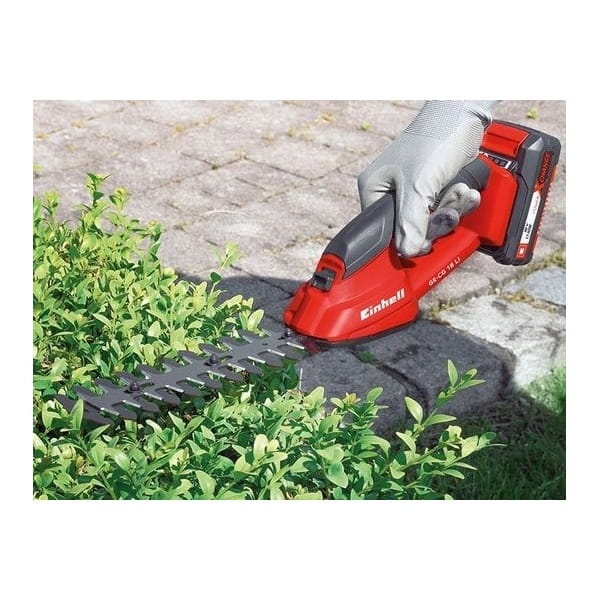 66f01a6579a4205a20665938f0c725ae