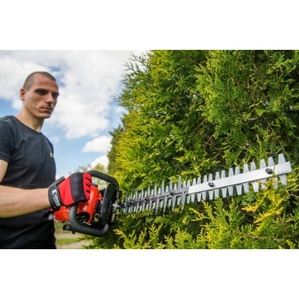 1deb31ed822ea28873f0e5e828af581b